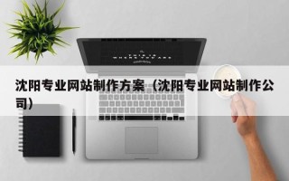 云梦沈阳专业网站制作方案（沈阳专业网站制作公司）